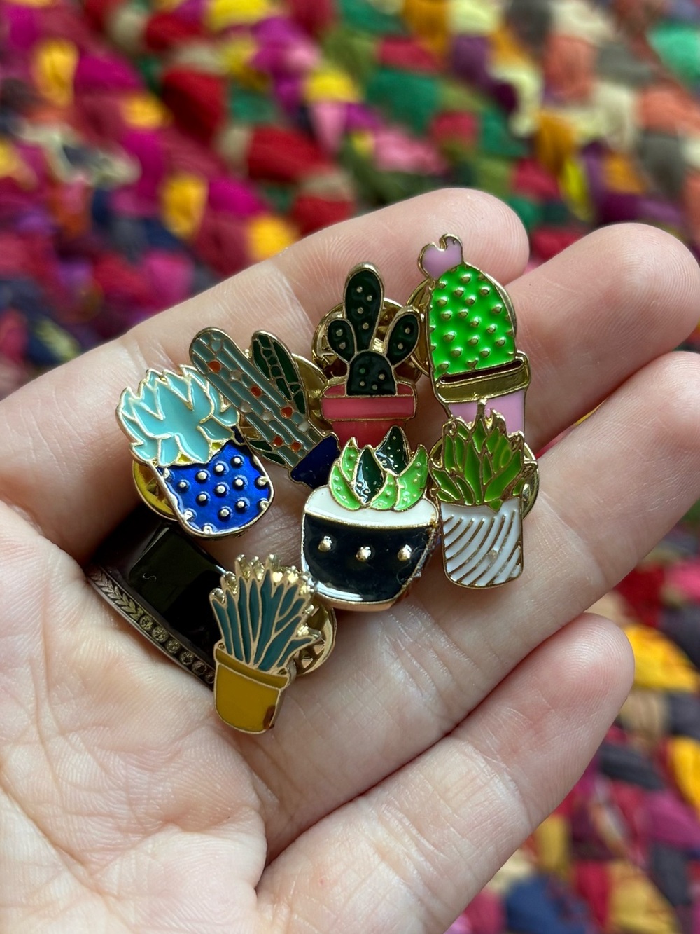 7 SUCCULENTS AND CACTUS PINS